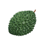 durian
